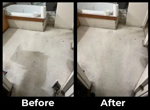 Professional Carpet Cleaning