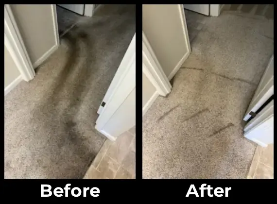 Professional Carpet Cleaning