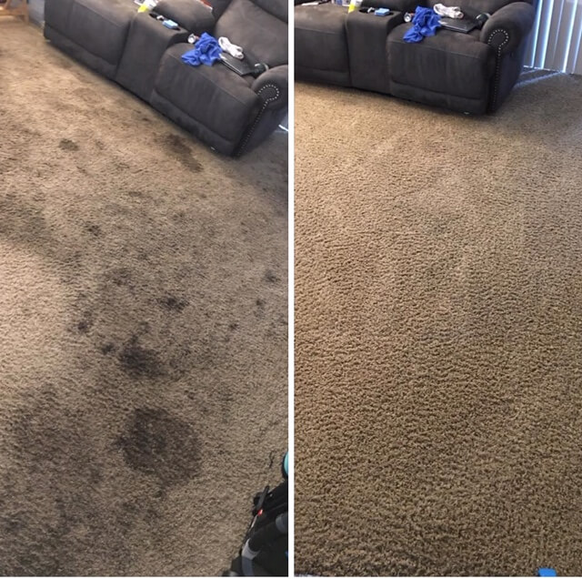 Upholstery Cleaning